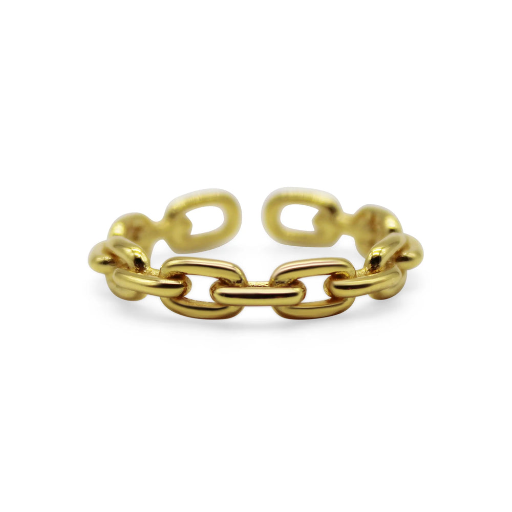 It Fits - Paperclip Link Ring in Gold