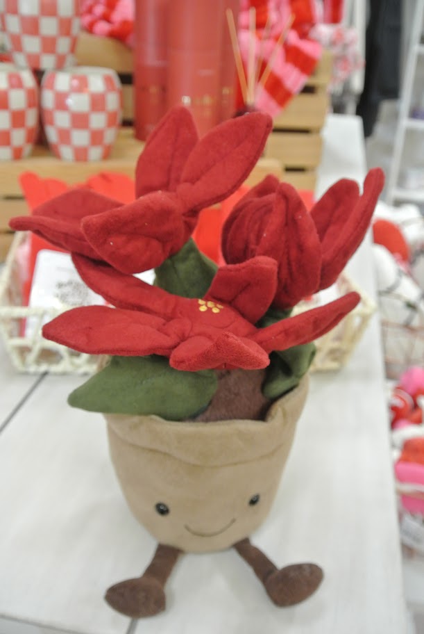 Amuseable Poinsettia