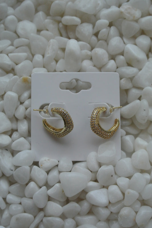 Pave Encrusted Hoop- Gold