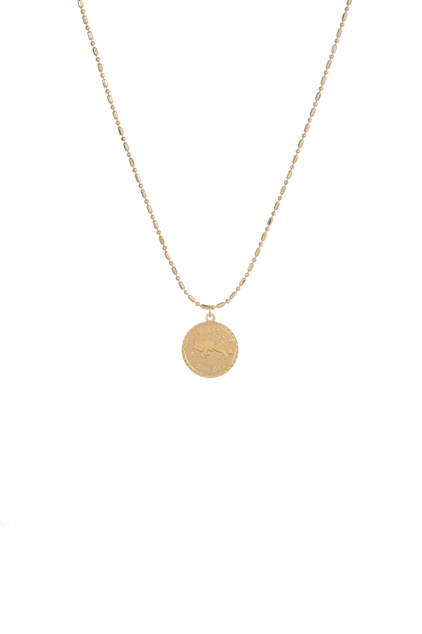 CAM Ascending Zodiac Necklace