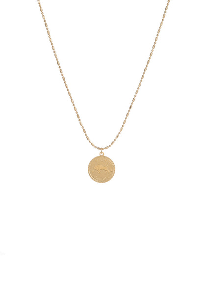 CAM Ascending Zodiac Necklace